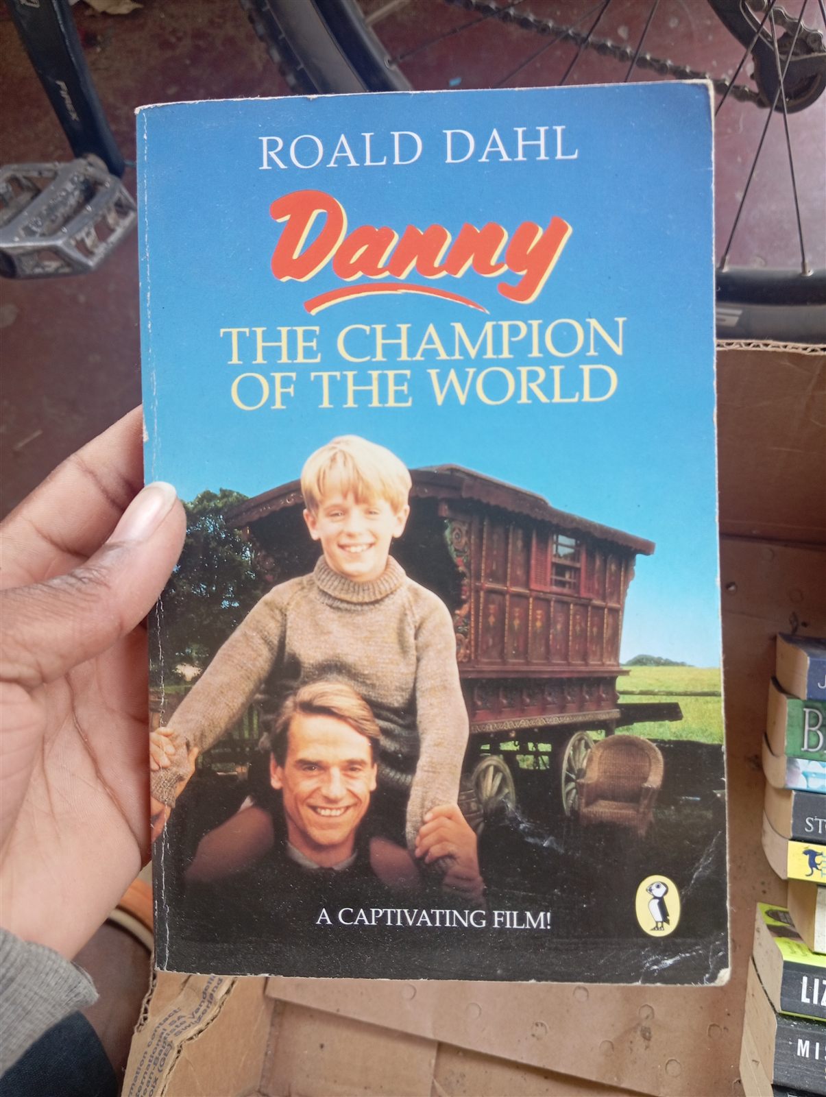Danny the Champion of the World