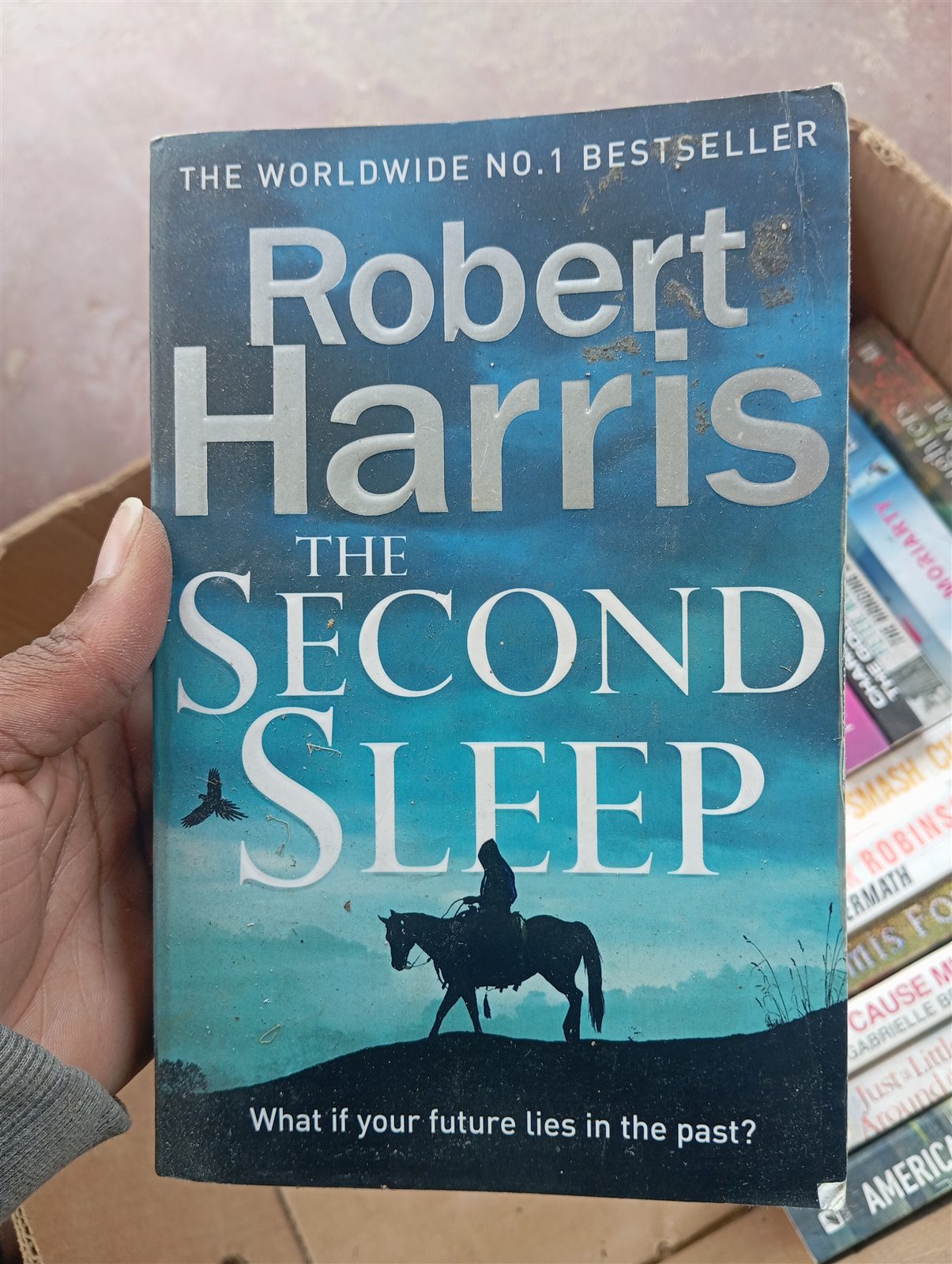 The Second Sleep